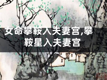 女命攀鞍入夫妻宫,攀鞍星入夫妻宫