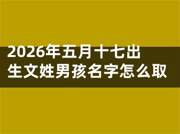 2026年五月十七出生文姓男孩名字怎么取