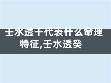 壬水透干代表什么命理特征,壬水透癸