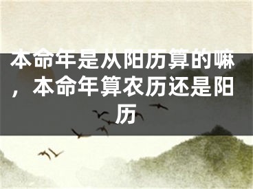 本命年是从阳历算的嘛，本命年算农历还是阳历