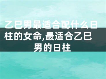 乙巳男最适合配什么日柱的女命,最适合乙巳男的日柱