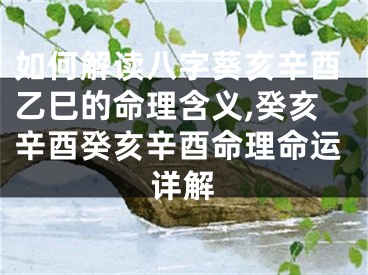 如何解读八字葵亥辛酉乙巳的命理含义,癸亥辛酉癸亥辛酉命理命运详解