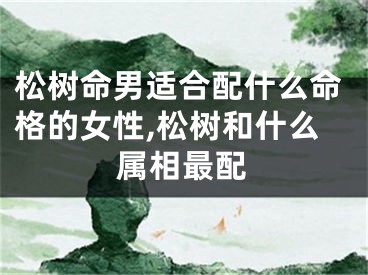 松树命男适合配什么命格的女性,松树和什么属相最配
