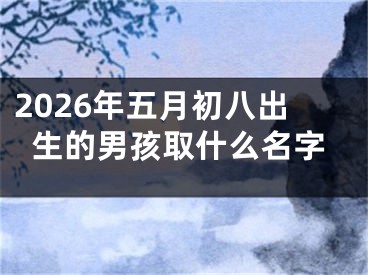2026年五月初八出生的男孩取什么名字