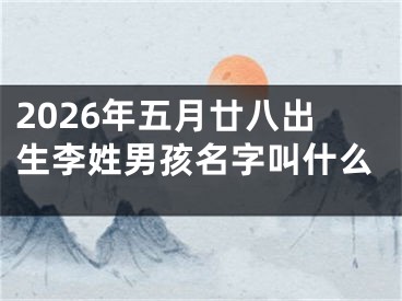 2026年五月廿八出生李姓男孩名字叫什么