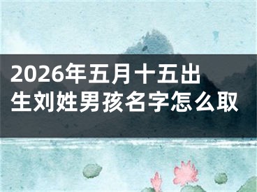 2026年五月十五出生刘姓男孩名字怎么取
