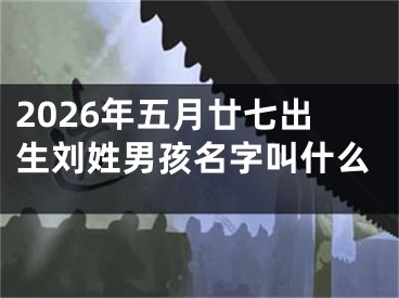 2026年五月廿七出生刘姓男孩名字叫什么