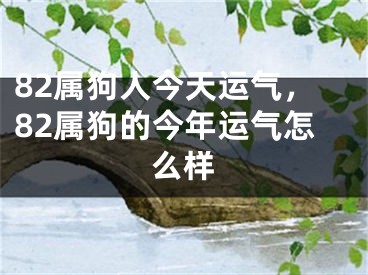 82属狗人今天运气，82属狗的今年运气怎么样