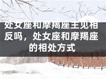 处女座和摩羯座主见相反吗，处女座和摩羯座的相处方式