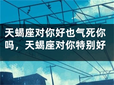 天蝎座对你好也气死你吗，天蝎座对你特别好