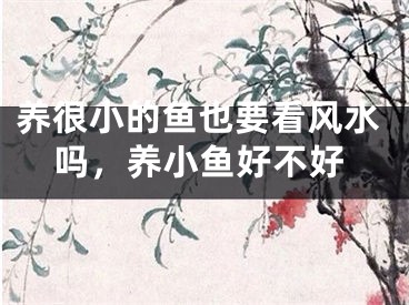 养很小的鱼也要看风水吗，养小鱼好不好