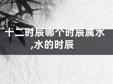 十二时辰哪个时辰属水,水的时辰