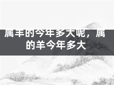 属羊的今年多大呢，属的羊今年多大