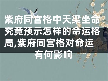 紫府同宫格中天梁坐命究竟预示怎样的命运格局,紫府同宫格对命运有何影响