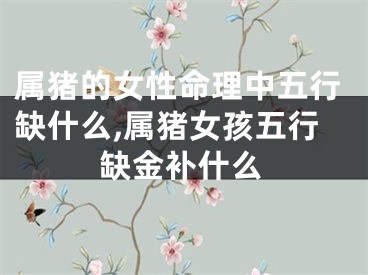 属猪的女性命理中五行缺什么,属猪女孩五行缺金补什么