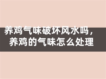 养鸡气味破坏风水吗，养鸡的气味怎么处理