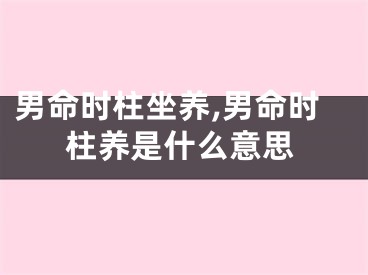 男命时柱坐养,男命时柱养是什么意思