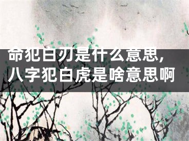 命犯白刃是什么意思,八字犯白虎是啥意思啊