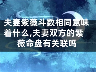 夫妻紫薇斗数相同意味着什么,夫妻双方的紫薇命盘有关联吗