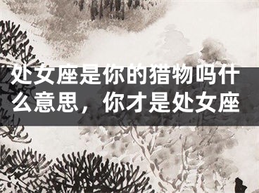 处女座是你的猎物吗什么意思，你才是处女座