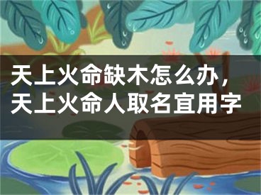 天上火命缺木怎么办，天上火命人取名宜用字