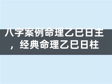 八字案例命理乙巳日主，经典命理乙巳日柱