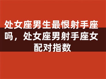 处女座男生最恨射手座吗，处女座男射手座女配对指数