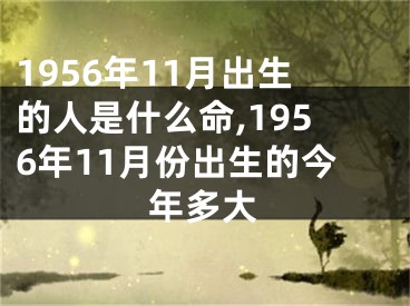 1956年11月出生的人是什么命,1956年11月份出生的今年多大