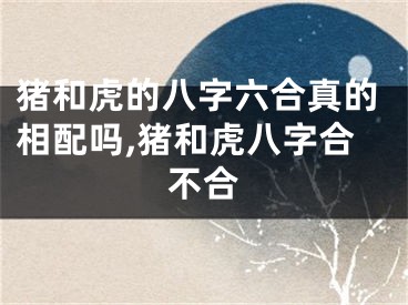 猪和虎的八字六合真的相配吗,猪和虎八字合不合