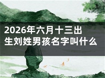 2026年六月十三出生刘姓男孩名字叫什么