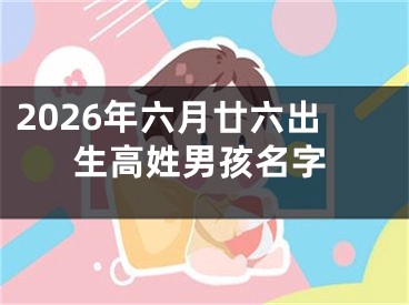 2026年六月廿六出生高姓男孩名字