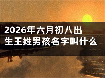 2026年六月初八出生王姓男孩名字叫什么