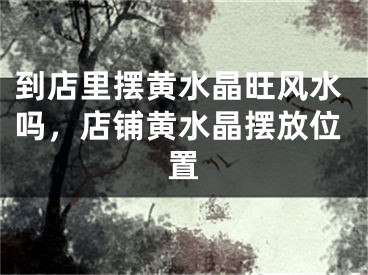 到店里摆黄水晶旺风水吗，店铺黄水晶摆放位置