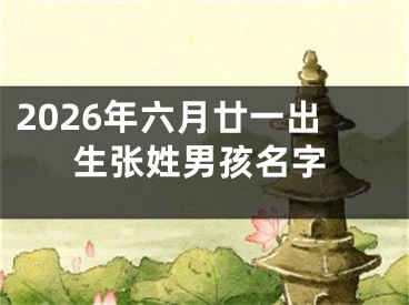 2026年六月廿一出生张姓男孩名字