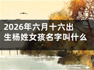 2026年六月十六出生杨姓女孩名字叫什么