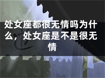 处女座都很无情吗为什么,处女座是不是很无情