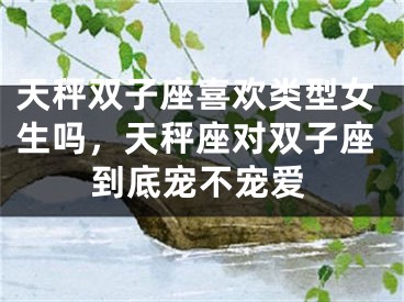 天秤双子座喜欢类型女生吗,天秤座对双子座到底宠不宠爱