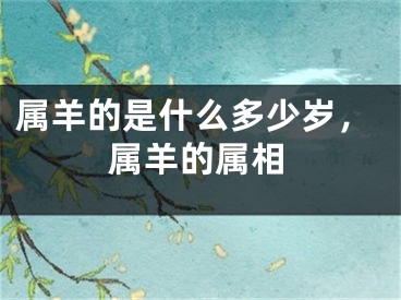 属羊的是什么多少岁，属羊的属相