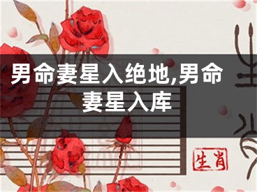 男命妻星入绝地,男命妻星入库