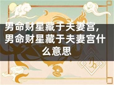男命财星藏于夫妻宫,男命财星藏于夫妻宫什么意思