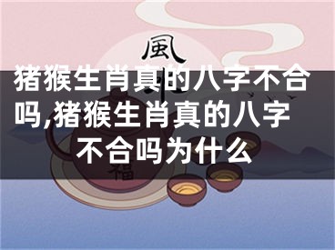 猪猴生肖真的八字不合吗,猪猴生肖真的八字不合吗为什么
