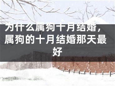 为什么属狗十月结婚，属狗的十月结婚那天最好
