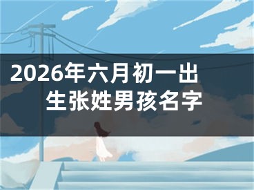 2026年六月初一出生张姓男孩名字