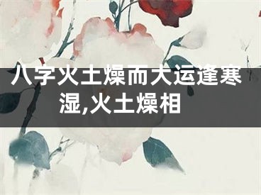 八字火土燥而大运逢寒湿,火土燥相