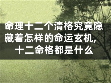 命理十二个清格究竟隐藏着怎样的命运玄机,十二命格都是什么