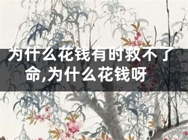 为什么花钱有时救不了命,为什么花钱呀