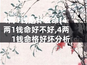 4两1钱是什么命(4两1钱命好不好,4两1钱命格好坏分析