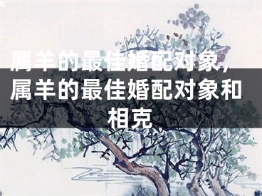 属羊的最佳婚配对象，属羊的最佳婚配对象和相克