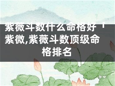 紫薇斗数什么命格好「紫微,紫薇斗数顶级命格排名