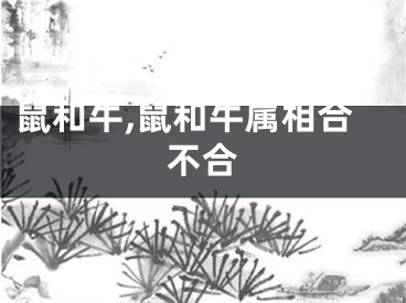 鼠和牛,鼠和牛属相合不合